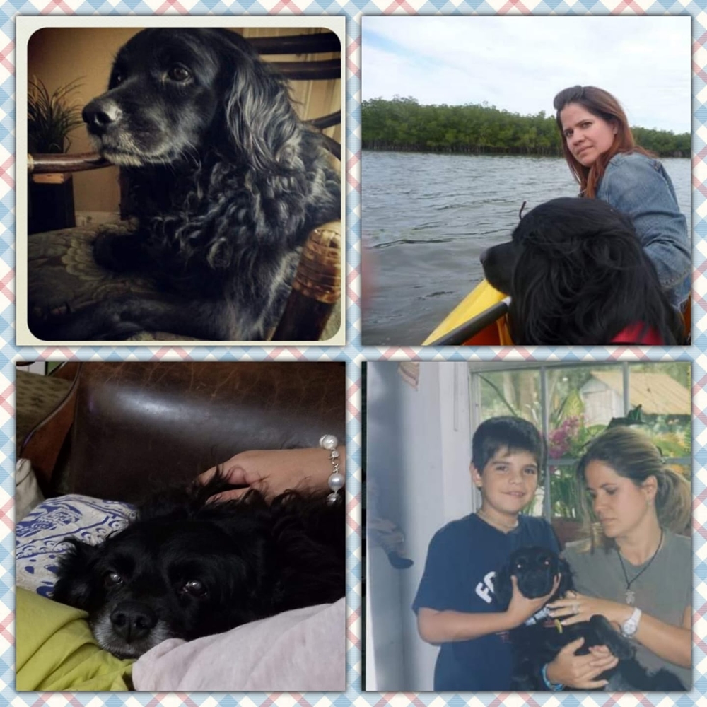 Meet your Posher, Anibet